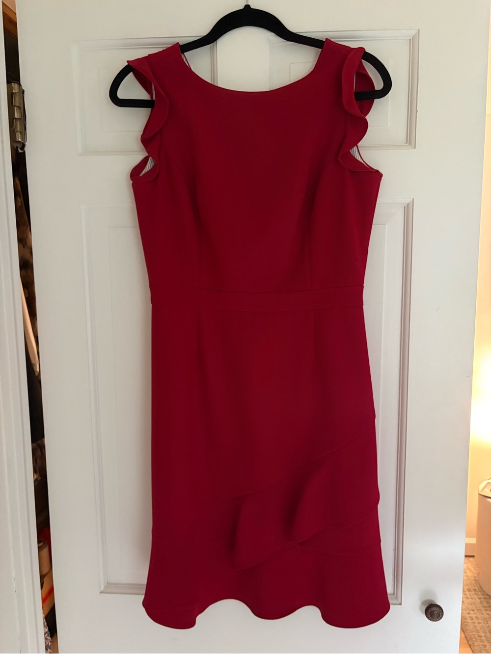 Brooks Brothers Red Ruffle-Sleeve Women's Dress